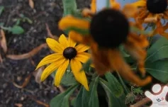 Vzdělávací víkend pro dobrovolníky