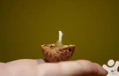 Kurzy přípravy na život - Základní