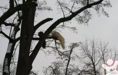 Setkání absolventů