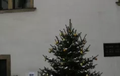 Setkání absolventů