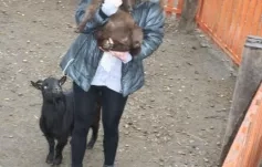 Kurzy přípravy na život - Základní