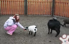 Kurzy přípravy na život - Základní