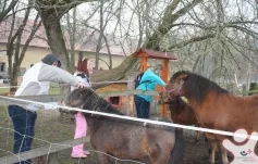 Kurzy přípravy na život - Základní