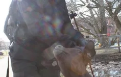 Kurz přípravy na život - Pokračovací