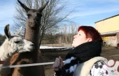 Kurz přípravy na život - Pokračovací