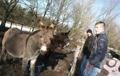 Kurz přípravy na život - Pokračovací