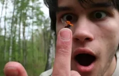 Kurzy přípravy na život - Pokračovací