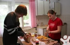 Brigáda - Borek u Budislavi