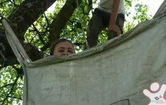 Brigáda - Borek u Budislavi