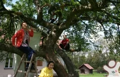 Brigáda - Borek u Budislavi