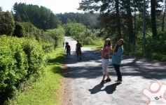 Brigáda - Borek u Budislavi