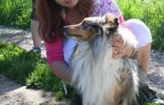 Brigáda - Borek u Budislavi