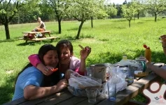 Brigáda - Borek u Budislavi